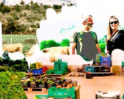 Desarrollo Humano y Social