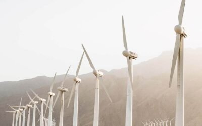 Infraestructura y Conectividad